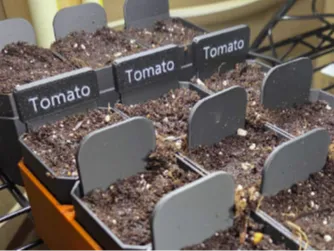 Planter Scoop Hat