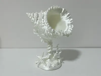 Baroque Ornate Conch Shell Cup