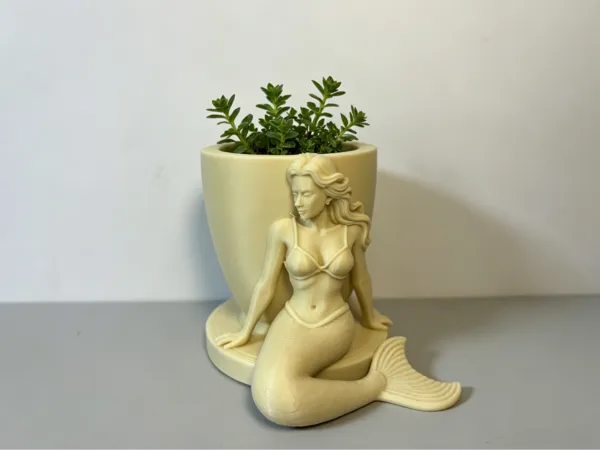 https://makerworld.bblmw.com/makerworld/model/DSM00000002656814/design/bb41837ad360deb3.jpg