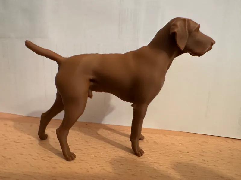 Deutsch Drahthaar Jagdhund