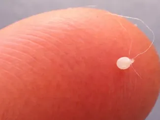 Worlds Smallest 3D Print! Only 5 minutes!