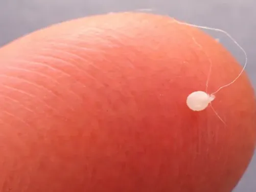 Worlds Smallest 3D Print! Only 5 minutes!
