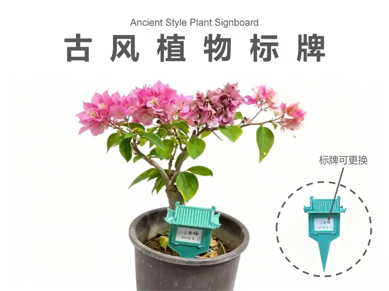 亭台雅韵・古风植物标牌