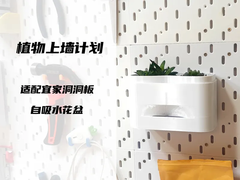植物上墙计划-适配宜家洞洞板自吸水花盆