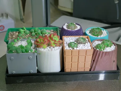 "Succulent Garden" Series: 3D Printed Planter Set for Succulents