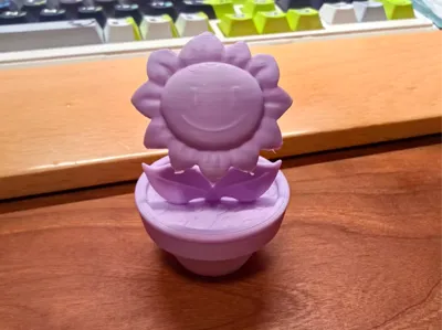 Slay the Spire---Happy Flower