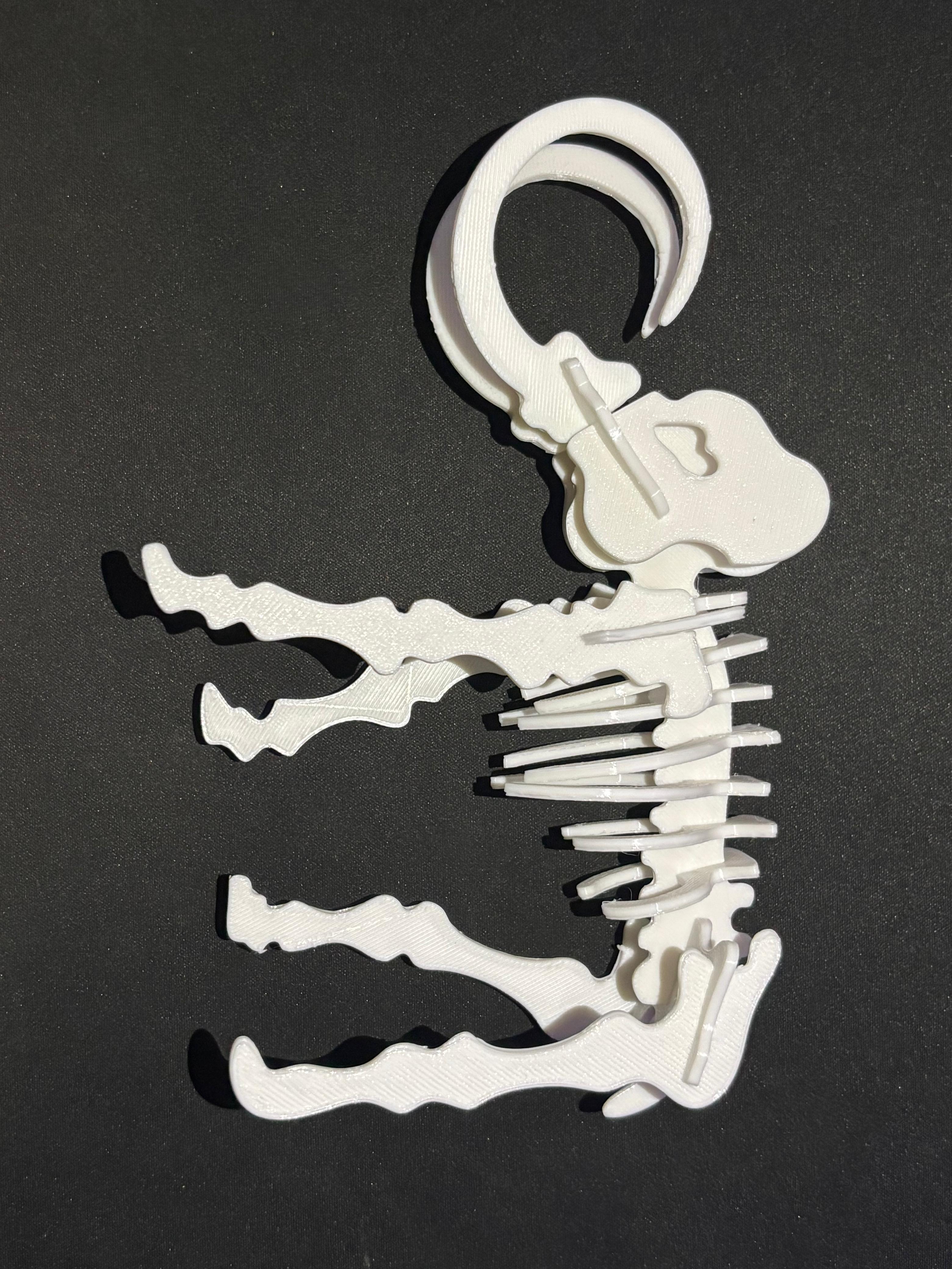 3D Mammoth Skeleton Puzzle