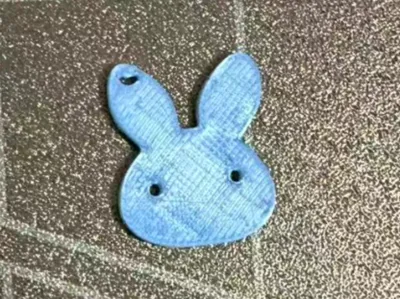Rabbit WDT Pin Displacement Plate
