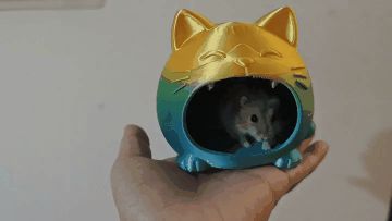 https://makerworld.bblmw.com/makerworld/model/DSM00000002660631/design/c56e6098697215e2.gif