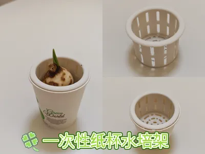 Disposable Paper Cup Hydroponic Stand