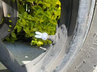 Miffy Tire Cap