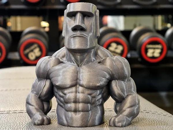 https://makerworld.bblmw.com/makerworld/model/DSM00000002662670/design/906c6501f0cb47f3.png