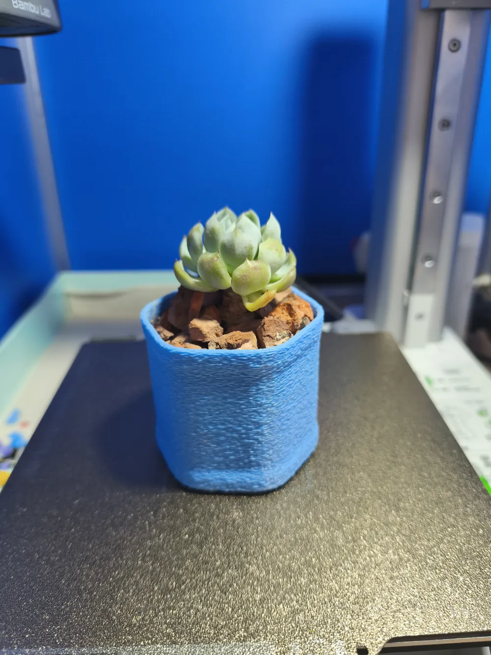 Printed Succulent Pot - Free 3D Print Model - MakerWorld