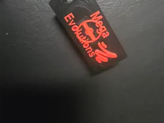 Pokemon Mega Evolution Tag