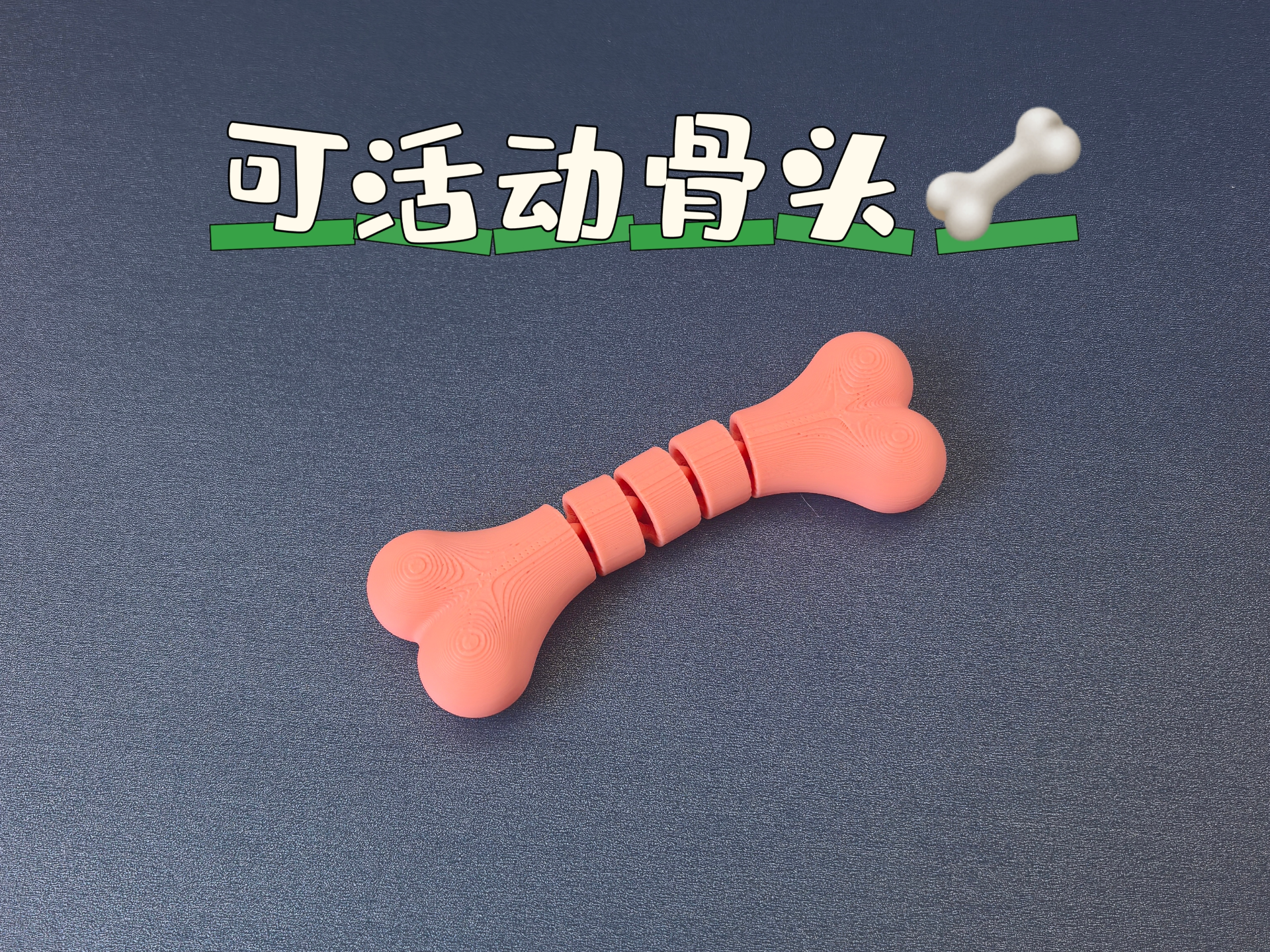 可爱关节可活动骨头玩具 解压玩具