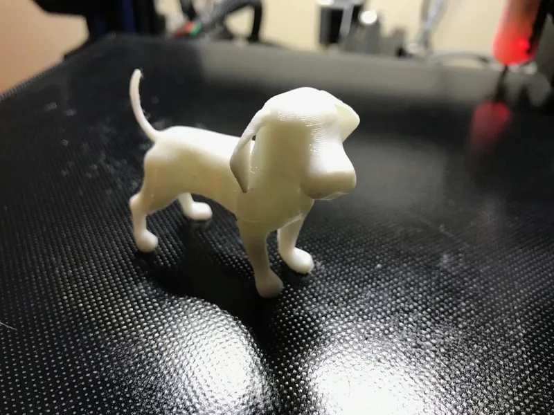 Beagle Dog