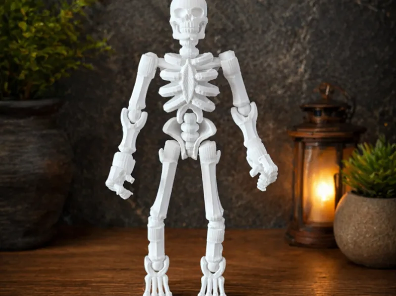 Skeleton (tinkercad) Skeleton Figure