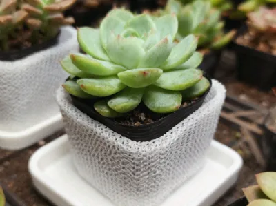 Hollow Spiral Chinese Flower Pot