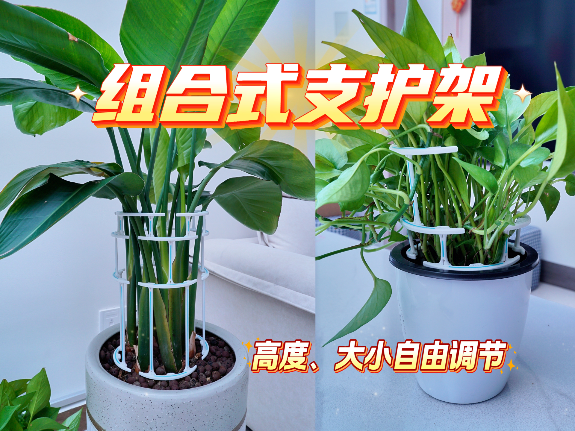 组合式模块化植物支架 | 可拼接爬藤支架