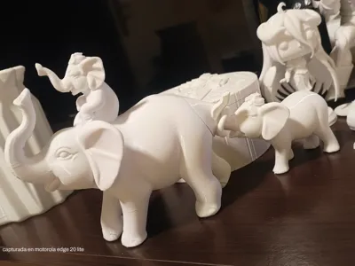 lucky elephants