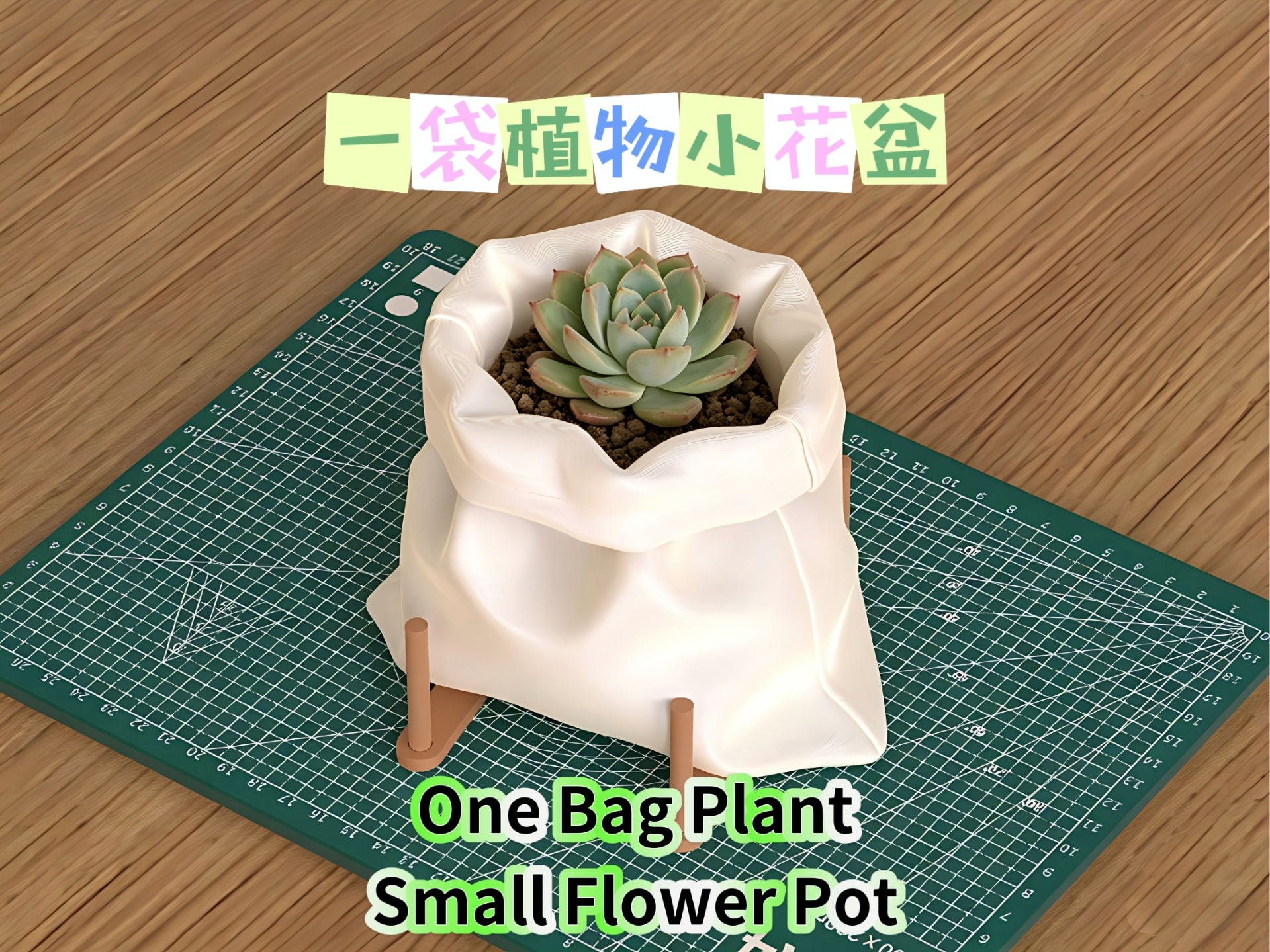 一袋植物-小花盆 One Bag Plant - Small Flower Pot