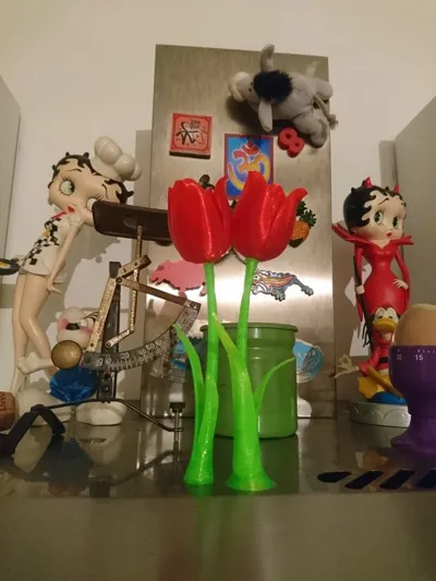 Magnetic tulip