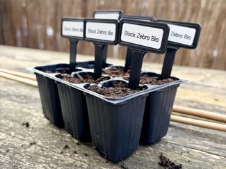 Garden Label 14x40 mm