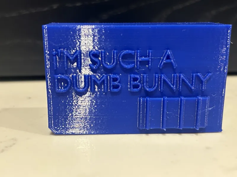 I'm such a dumb bunny 