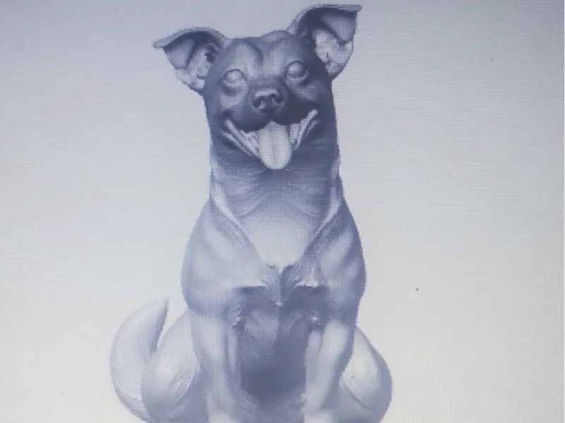 Cão Alegre II