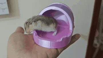 https://makerworld.bblmw.com/makerworld/model/DSM00000002671959/design/273bbedf986e1860.gif