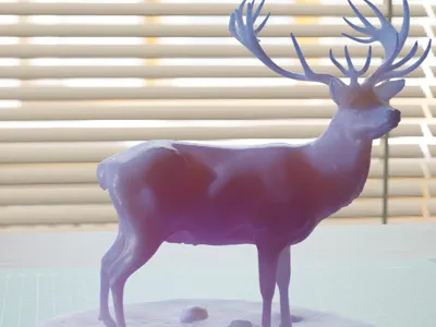 Deer 