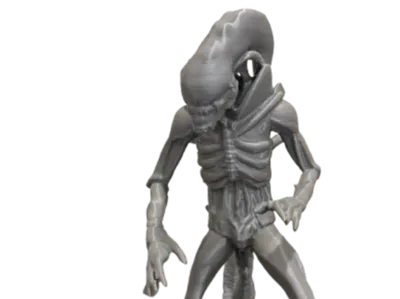 XenoMorph