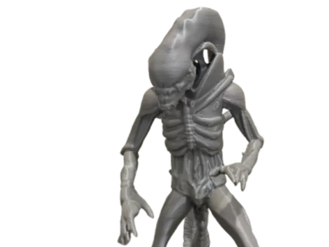 XenoMorph