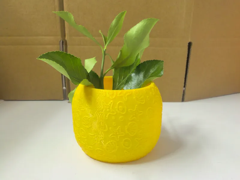 贝壳花盆