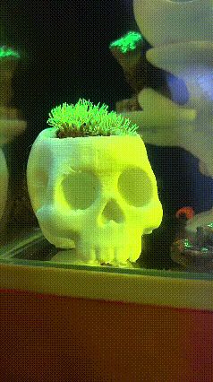 Skull Coral Hideaway, Marine Aquarium Coral Base Ornament, Mysterious Turf Skull