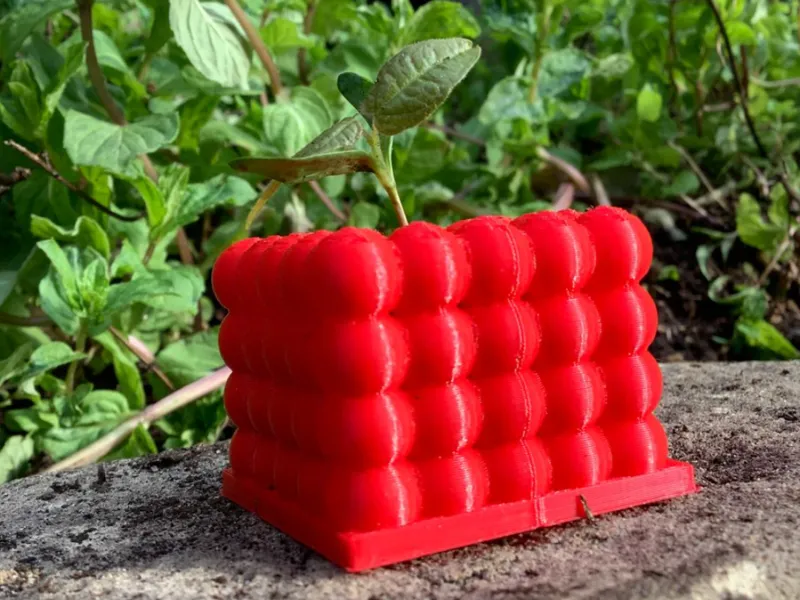 plant tray