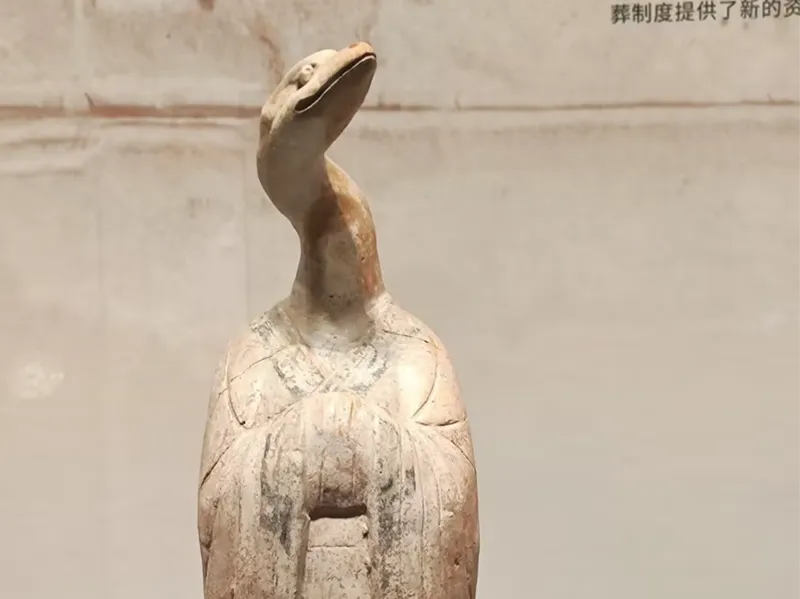 陕西考古博物馆十二生肖蛇俑文物