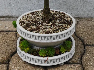 2 Levels Bonsai/Plant Pot