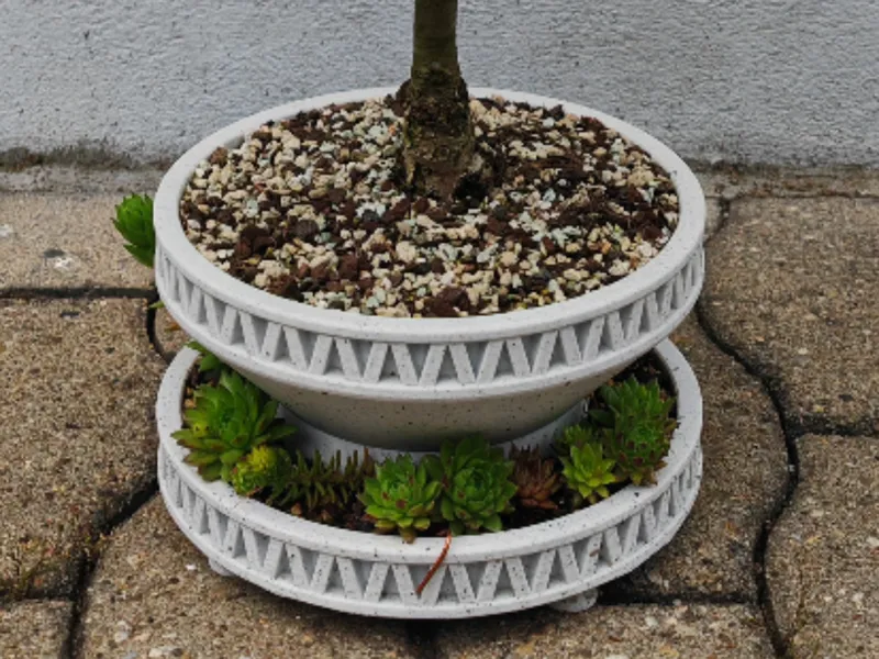 2 Levels Bonsai/Plant Pot