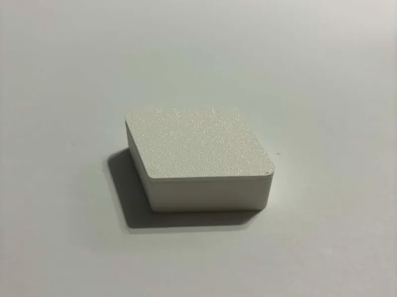 Bath and Body Works Soap Lifter