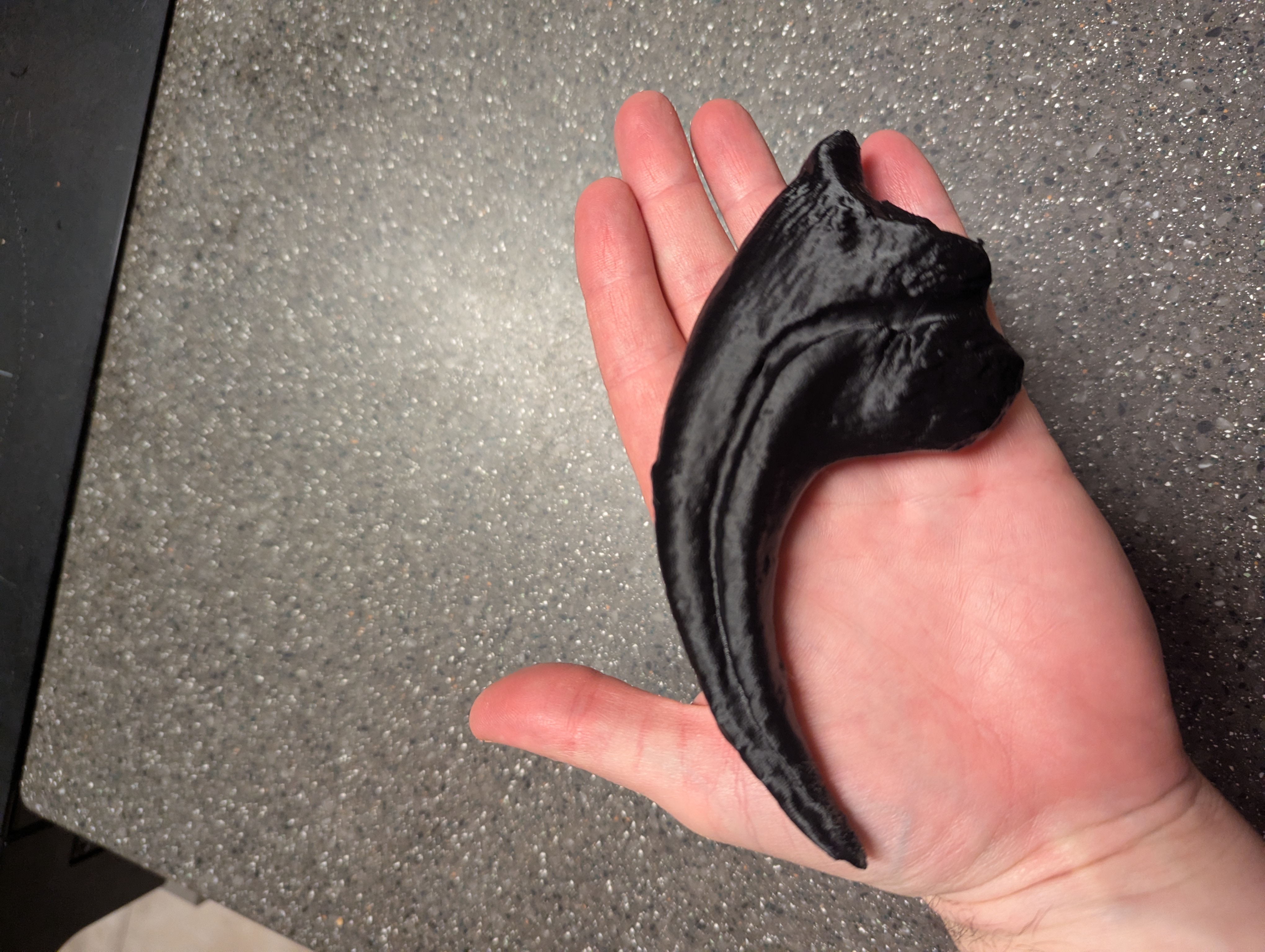 Allosaurus fragilis Claw