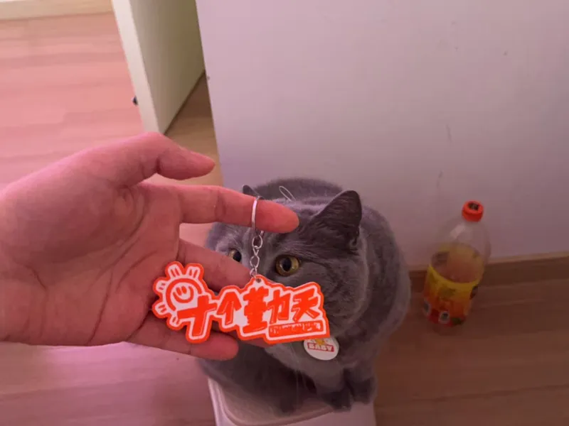 十个勤天钥匙扣