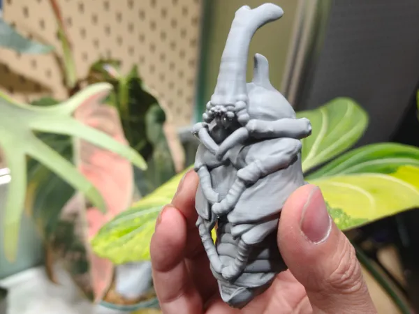 https://makerworld.bblmw.com/makerworld/model/DSM00000002678391/design/6a98abc363cf041d.jpg