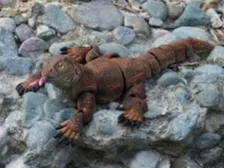 flexi komodo dragon