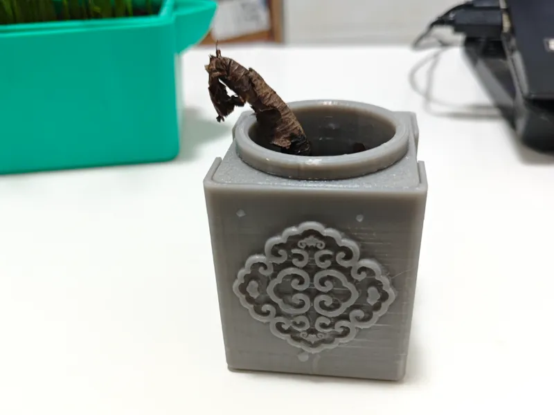 水培小花盆（适用单颗植株）