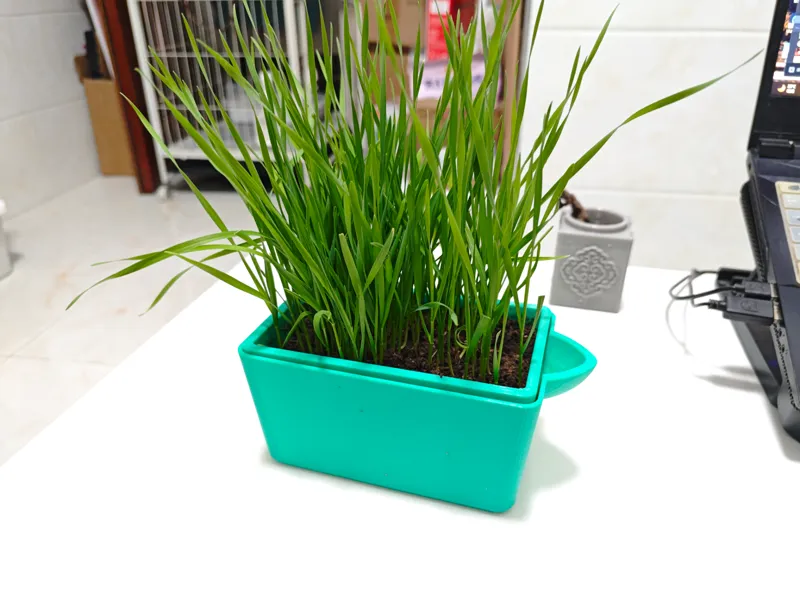 小草种植盆