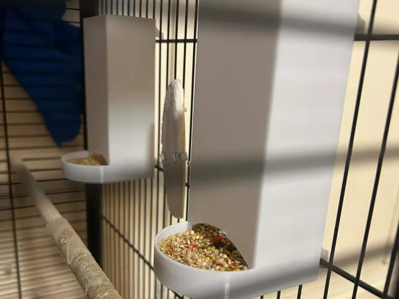 Parrot feeder