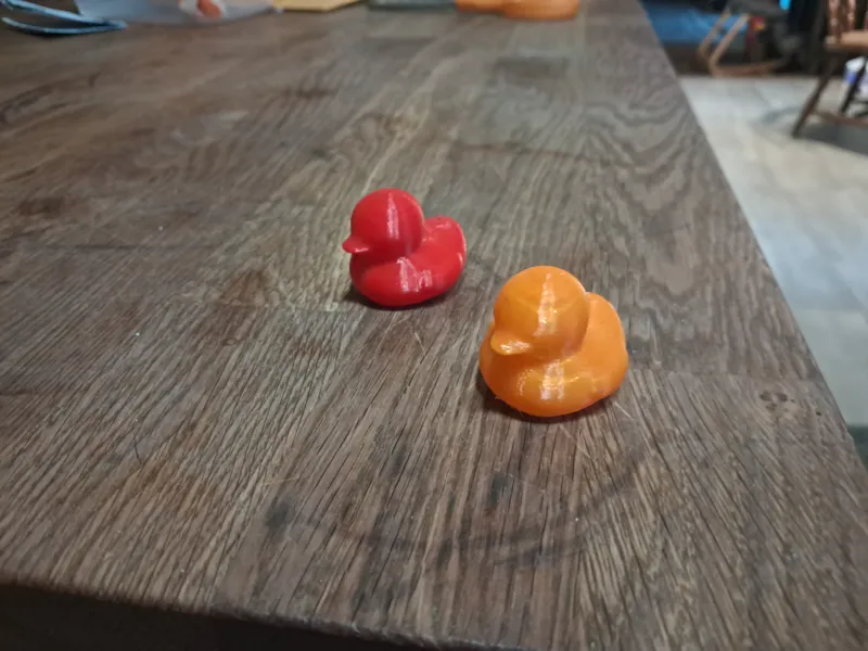duck