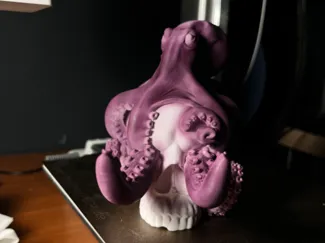 octopus porta controller universale