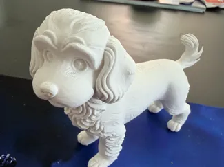cavapoo